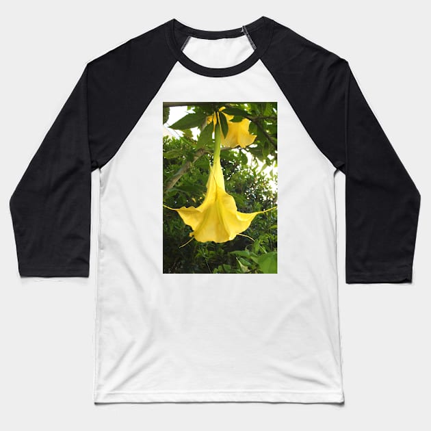 Angel Trumpet Flower Baseball T-Shirt by pinkal